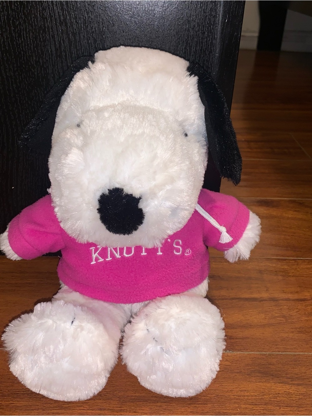 Knotts Berry Farm Snoopy Hoodie Plush!